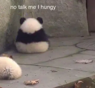 💔 4c45bfe8 no talk me I hungy パンダ, 動物, 面白い, ミーム, お腹がすいた whatsapp sticker