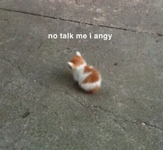 💔 978bd37a no talk me i angy 猫, 怒り, ミーム, 子猫, 面白い, ペット, 動物 whatsapp sticker