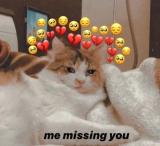 💗 e4a117ce me missing you 猫, 会いたい, 悲しい, 絵文字, 失恋 whatsapp sticker