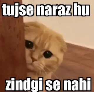 👀 184bdf53 tujse naraz hu
zindgi se nahi Katze, Meme, Hindi, lustig, traurig telegram sticker