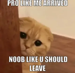 👀 777d8b55 PRO LIKE ME ARRIVED
NOOB LIKE U SHOULD
LEAVE Katze, Meme, lustig, Profi, Noob telegram sticker