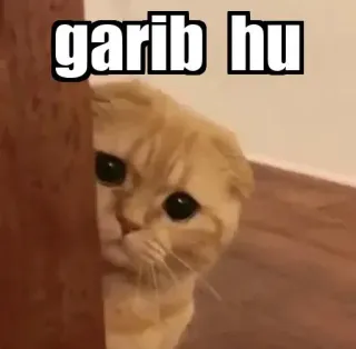 👀 ddaf92a4 garib hu Katze, Meme, Traurig, Süß, Arm telegram sticker