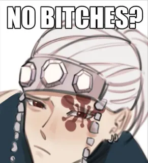 ✨ 8e67693d NO BITCHES? Mem, Humor, Obraźliwe, Żart telegram sticker