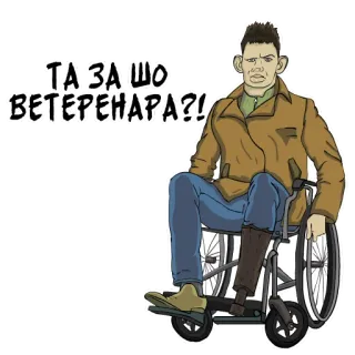 🤕 273e7b53 ТА ЗА ЩО ВЕТЕРАНА?! disabile, sedia a rotelle, veterano, cartone animato, uomo telegram sticker