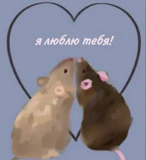 ❤️ 98054293 Я люблю тебя! 쥐, 사랑, 하트, 러시아, 동물 telegram sticker