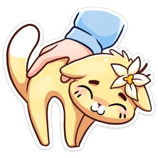 ☺️ 8abea7f5 แมว, สัตว์เลี้ยง, สัตว์, น่ารัก, มือ, การ์ตูน telegram sticker