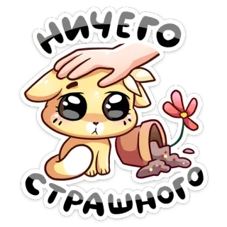 😔 afb75060 НИЧЕГО СТРАШНОГО น่ารัก, สัตว์, หมา, ดอกไม้, สบายใจ, บวก, การ์ตูน telegram sticker