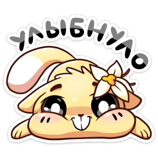 🙂 c420a342 Улыбнуло กระต่าย, น่ารัก, มีความสุข, ดอกไม้, สติกเกอร์, การ์ตูน telegram sticker
