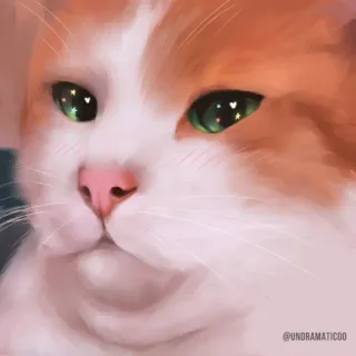 🌟 27947040 @UNDRAMATICOO แมว, สัตว์, สัตว์เลี้ยง, สีส้ม, สีขาว, น่ารัก, ดิจิทัลอาร์ต telegram sticker