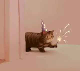 🌟 b35bb71c แมว, พ่อมด, เวทมนตร์, ดอกไม้ไฟ, สัตว์, สัตว์เลี้ยง telegram sticker