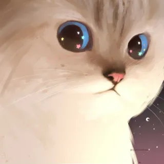 🌟 f179d213 แมว, น่ารัก, สัตว์, สัตว์เลี้ยง, ลูกแมว, ดาว, ตา, แมวขาว telegram sticker