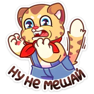 😡 be447764 Ну не мешай kat, boos, grappig, meme, dier, sticker telegram sticker