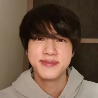 🪐 23e55377 Jin kpop, singer, portrait, bts, artist, celebrity telegram sticker