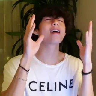 🪐 f13d3588 CELINE person, man, portrait, celine, t-shirt, fashion telegram sticker