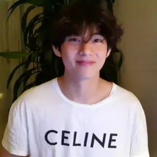 🪐 f320dacb CELINE fashion, clothing, t-shirt, celine, k-pop telegram sticker