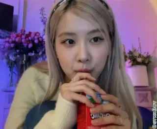 🐿 0bb6bb59 telegram sticker