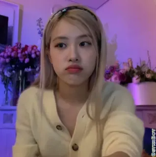 🐿 6b30b300 Rose Rose, Blackpink, K-Pop, Sängerin, Promi, Frau, weiblich, Künstler telegram sticker