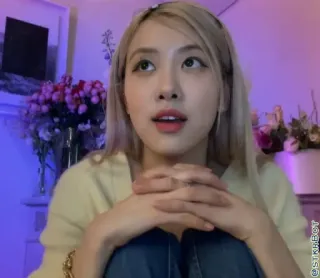 🐿 7d7de7ac STKR.BOT telegram sticker