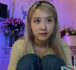 🐿 b400b7a1 Rose kpop, rose, blackpink, sängerin, promi, frau, person telegram sticker