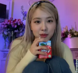 🐿 cc8c2a6f Rose kpop, sänger, promi, rose telegram sticker