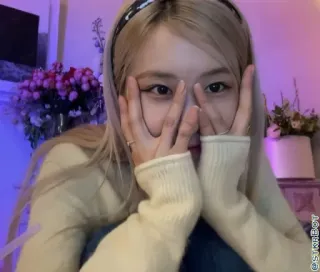 🐿 cd92b0b7 telegram sticker