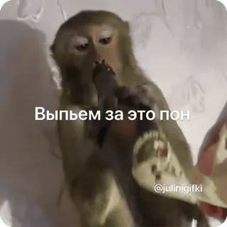 🌟 0a309575 Выпьем за это пон Affe, trinken, Alkohol, Party, lustig, Meme telegram sticker