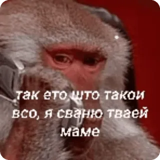 🌟 31d2974a так это што такои всо, я свапю тваєї маме Affe, beleidigend, Meme, Text, russisch telegram sticker