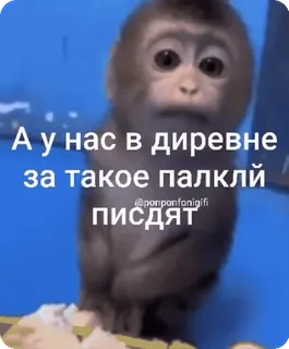 🌟 613aeae0 А у нас в диревне за такое палклій писдят Affe, Russisch, Text, Beleidigend, Slang telegram sticker