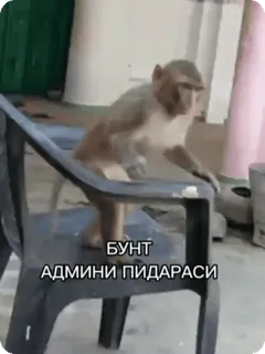 Больше стиков тут: @stikery4 telegram stickers