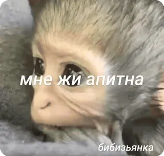 Больше стиков тут: @stikery4 telegram stickers