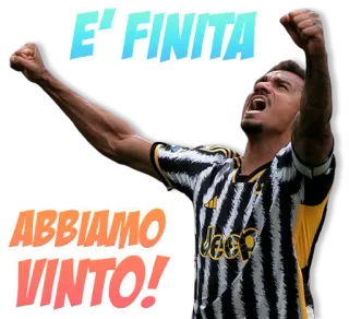 🔚 3a50bba1 E' FINITA ABBIAMO VINTO! calcio, football americano, vittoria, celebrazione, sport telegram sticker