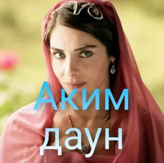 🤡 844d75b3 Аким Даун telegram sticker