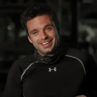 🍓 0fc70513 Sebastian Stan actor, celebrity, man, portrait, smile telegram sticker