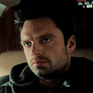 🍓 63b765e1 Bucky Barnes man, Bucky Barnes, Sebastian Stan, face, portrait telegram sticker