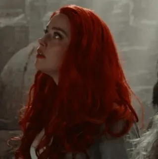 🐬 279d849f telegram sticker