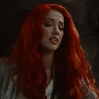 🐬 8ba5e762 telegram sticker