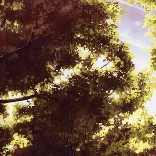😏 e67376db дерево, природа, листья, небо, дневной свет telegram sticker