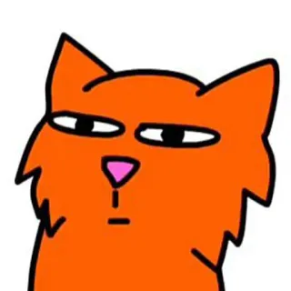 ✨ 1687bd3d cat, orange, cartoon, meme, funny, animal whatsapp sticker
