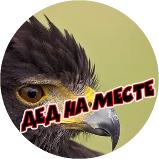 Angry @stickersb2b telegram stickers