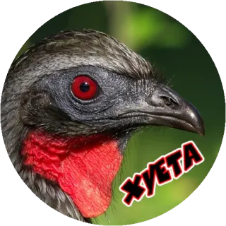 😄 7af59777 ХУЕТА птица, красные глаза, ругательство, оскорбительный, оскорбление whatsapp sticker