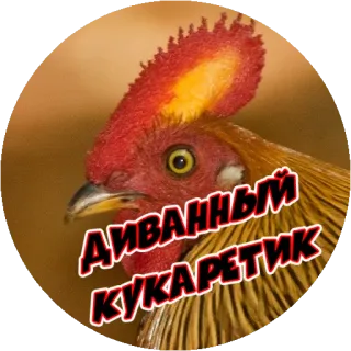 Angry @stickersb2b telegram stickers