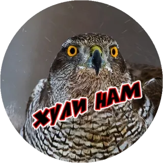 Angry @stickersb2b telegram stickers