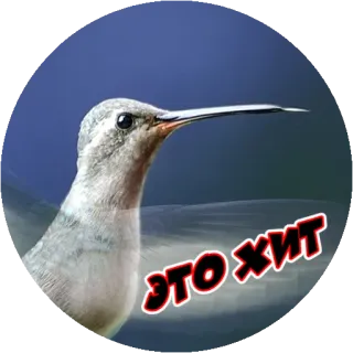 Angry @stickersb2b telegram stickers