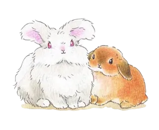 🌟 e6449fc5 กระต่าย, น่ารัก, สัตว์, สัตว์เลี้ยง, น่าเอ็นดู whatsapp sticker