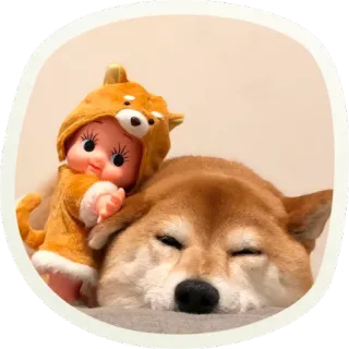 😴 2080284d chien, shiba inu, peluche, mignon, endormi, doge, kawaii whatsapp sticker