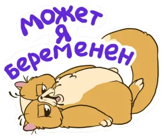 😊 28a72bdd МОЖЕТ Я БЕРЕМЕН Katze, Russisch, Text, Schwanger telegram sticker