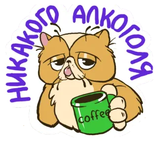 ❤ b58be8ea НИКАКОГО АЛКОГОЛЯ Katze, Kaffee, müde, Alkohol, Getränk, faul, Cartoon telegram sticker