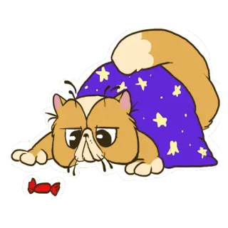 😊 c3915a8b Katze, Schlafanzug, Süßigkeiten, Tier, süß telegram sticker