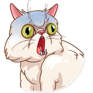 😨 48b0c722 gatto, scioccato, bocca aperta, animale, adesivo, meme, cartone animato, espressione telegram sticker