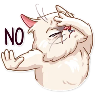 ✋ fc61c282 NO gatto, no, protesta, rifiutare, discordare, negativo telegram sticker